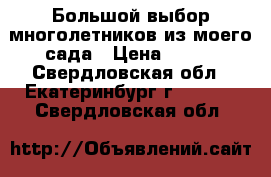 Большой выбор многолетников из моего сада › Цена ­ 100 - Свердловская обл., Екатеринбург г.  »    . Свердловская обл.